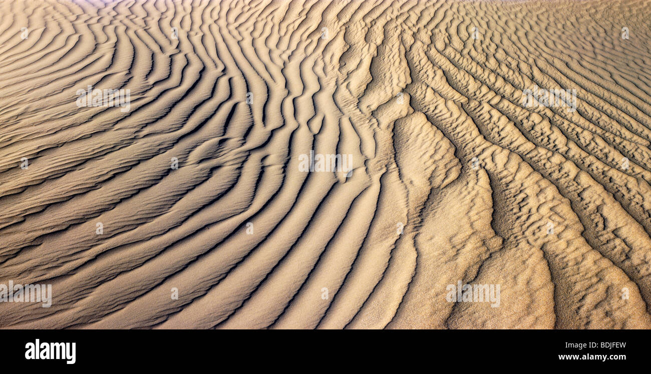 Wüste, Sand Dune Stockfoto