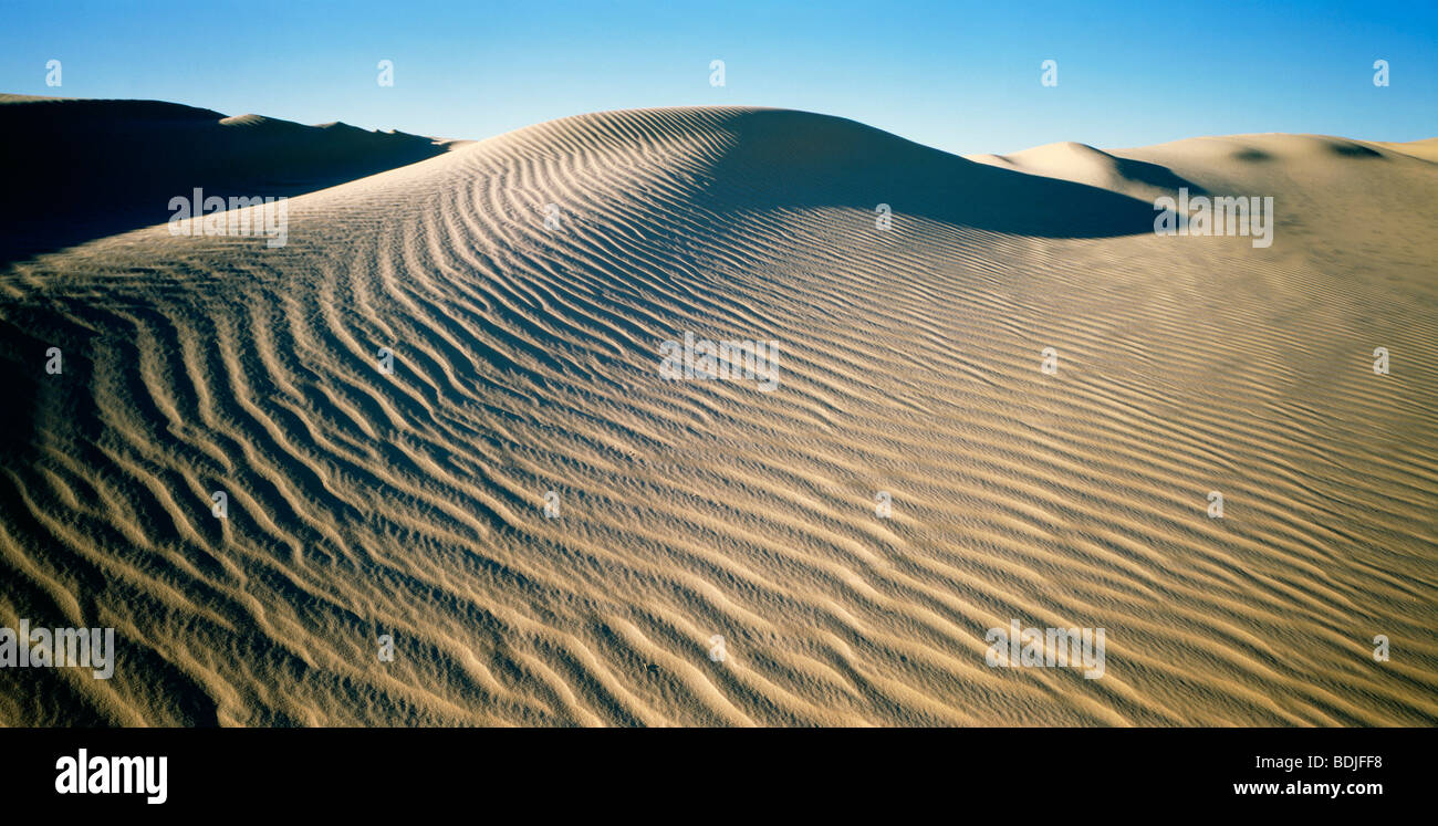 Wüste Sand Dune, Lake Mungo, Australien Stockfoto