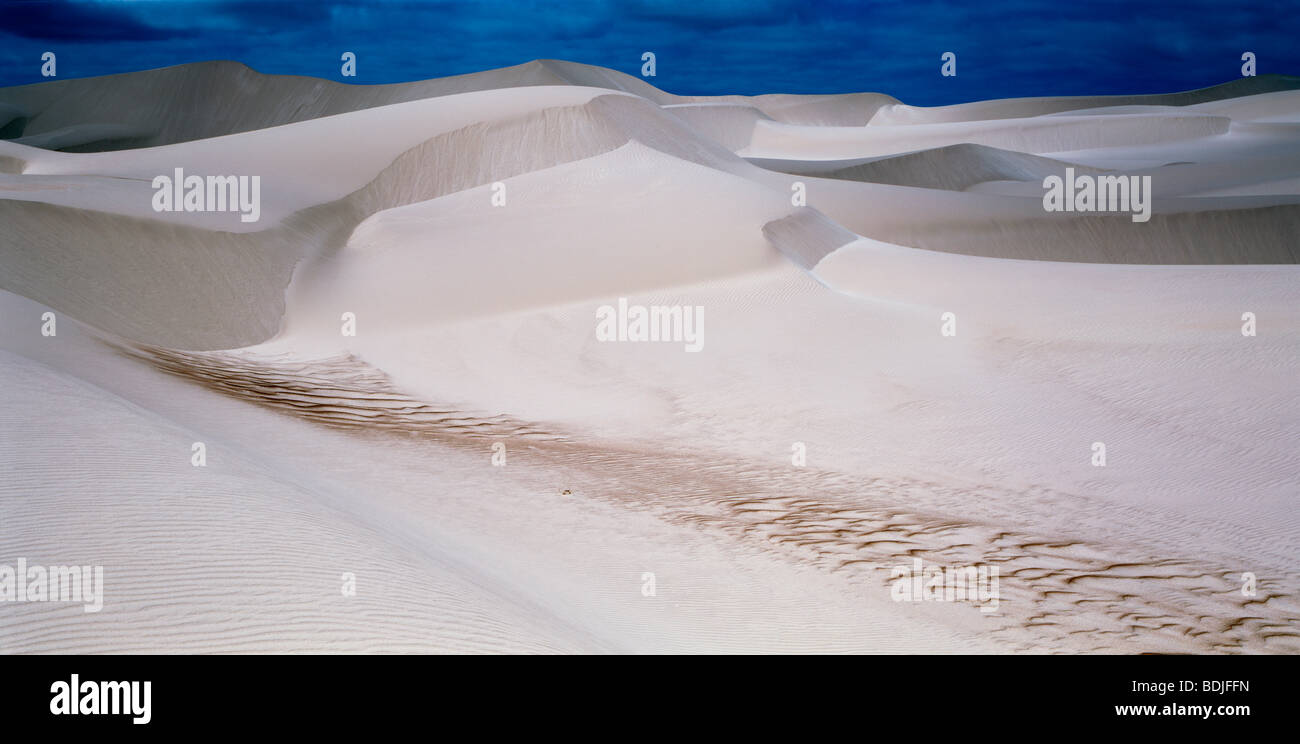 Wüste, Dünen Stockfoto