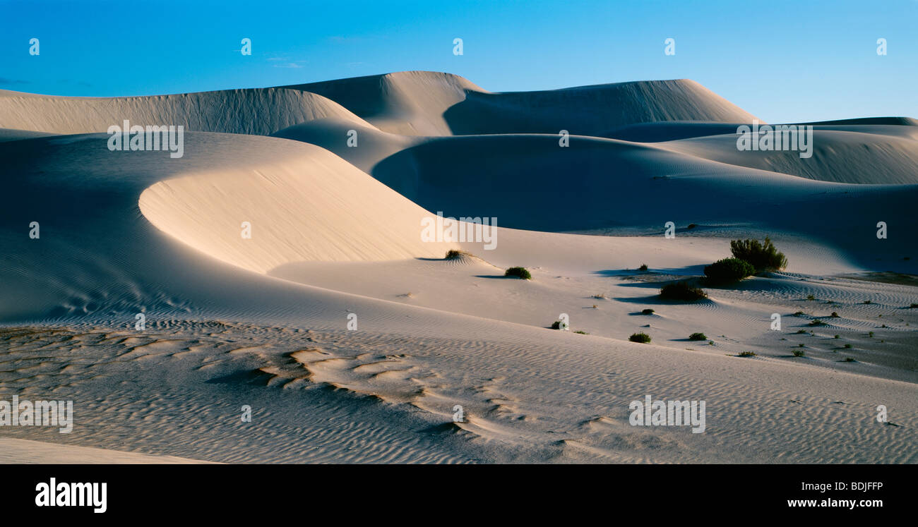 Wüste, Dünen Stockfoto