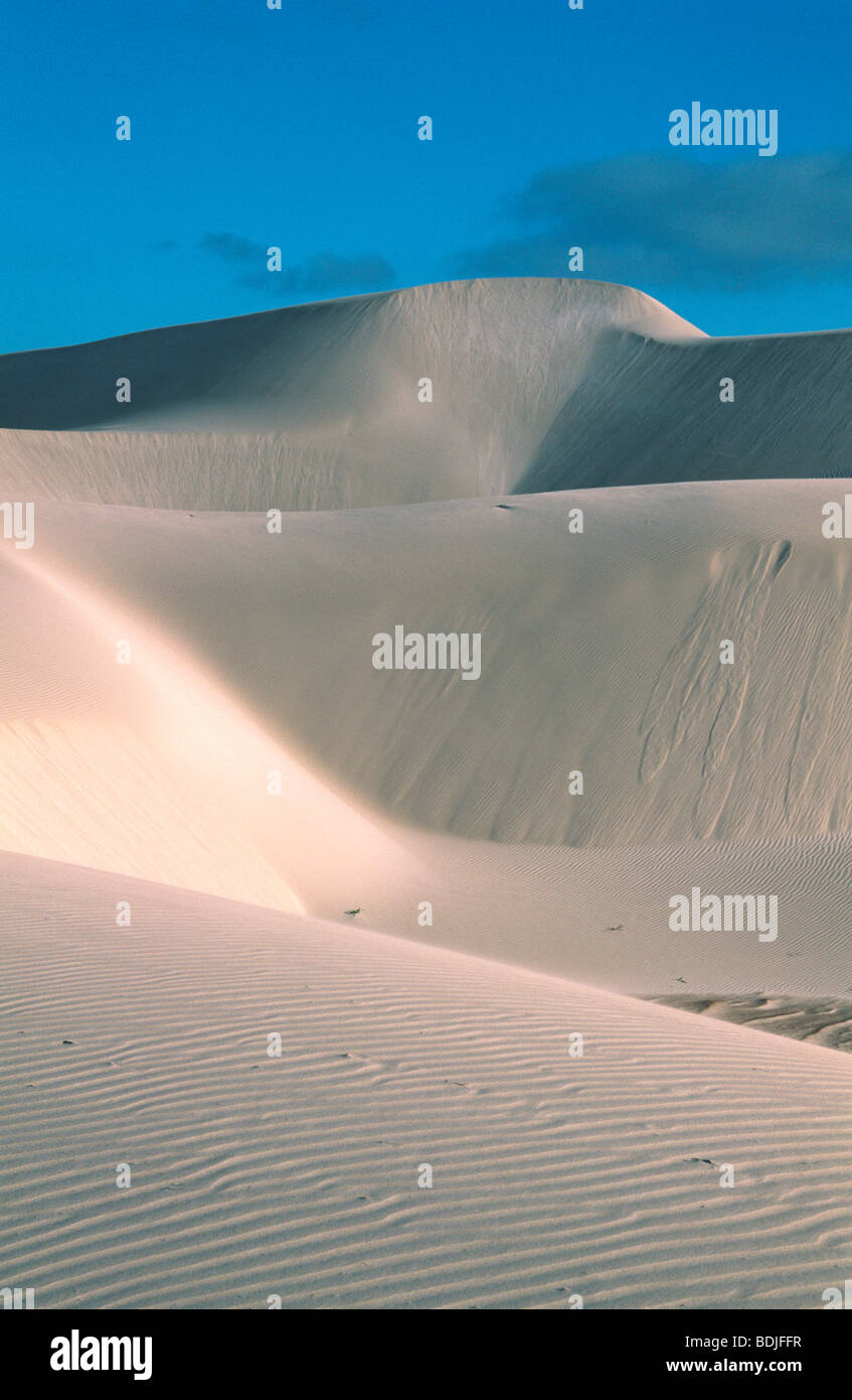 Wüste, Dünen Stockfoto