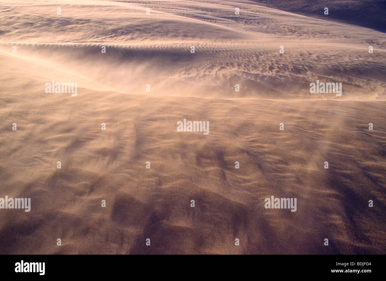 Wüste, Wind bläst Sand über Sanddünen Stockfoto