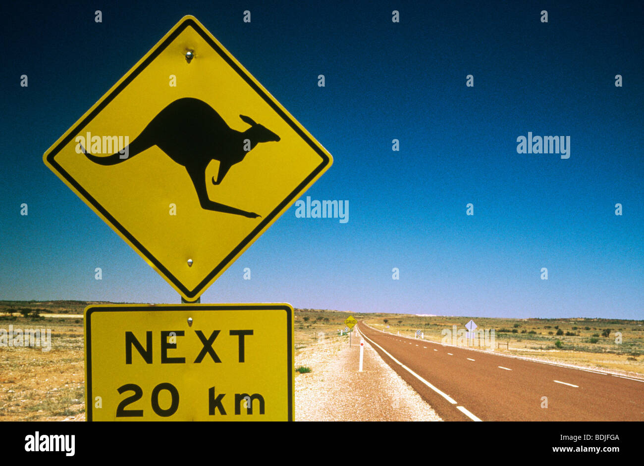 Känguru Schild neben Autobahn, Australien Stockfoto