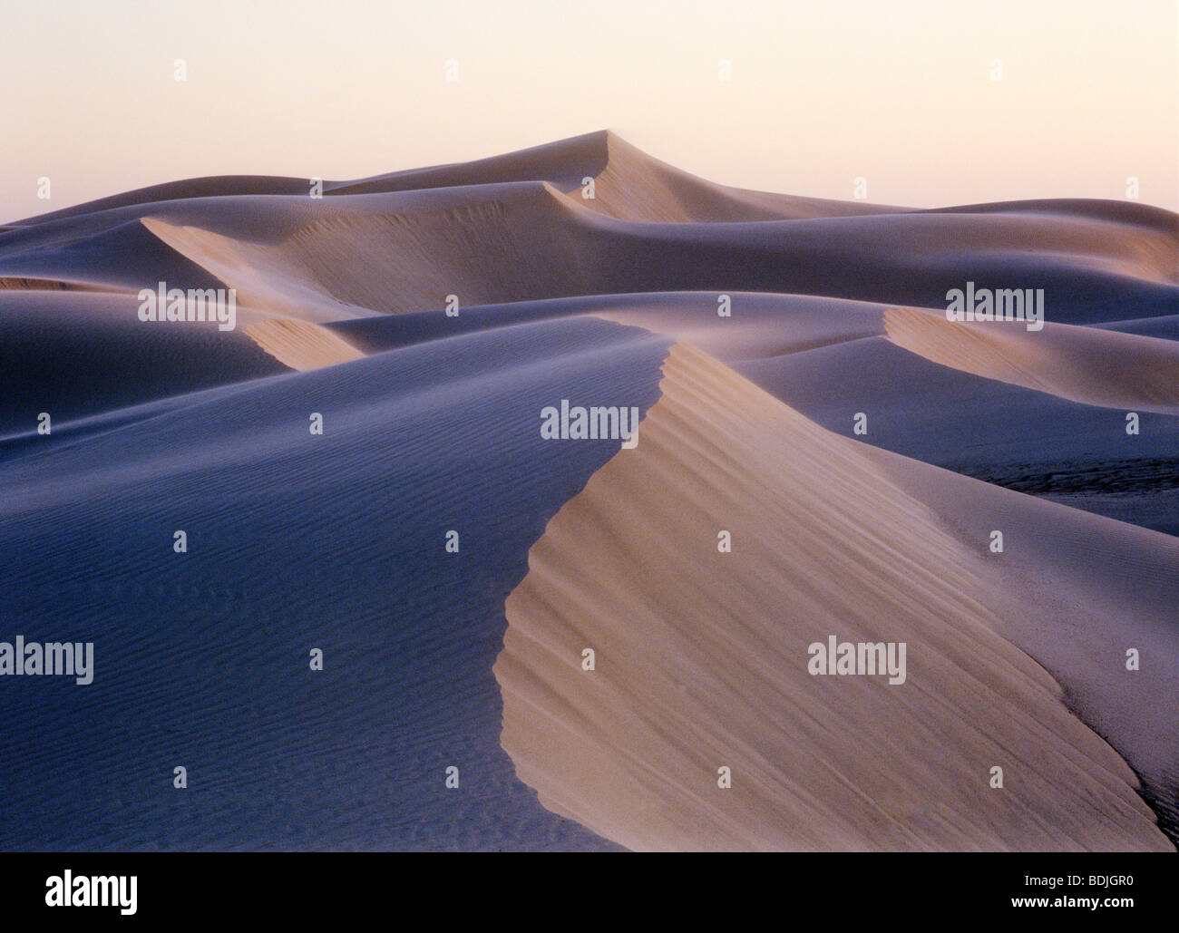 Sanddünen Stockfoto