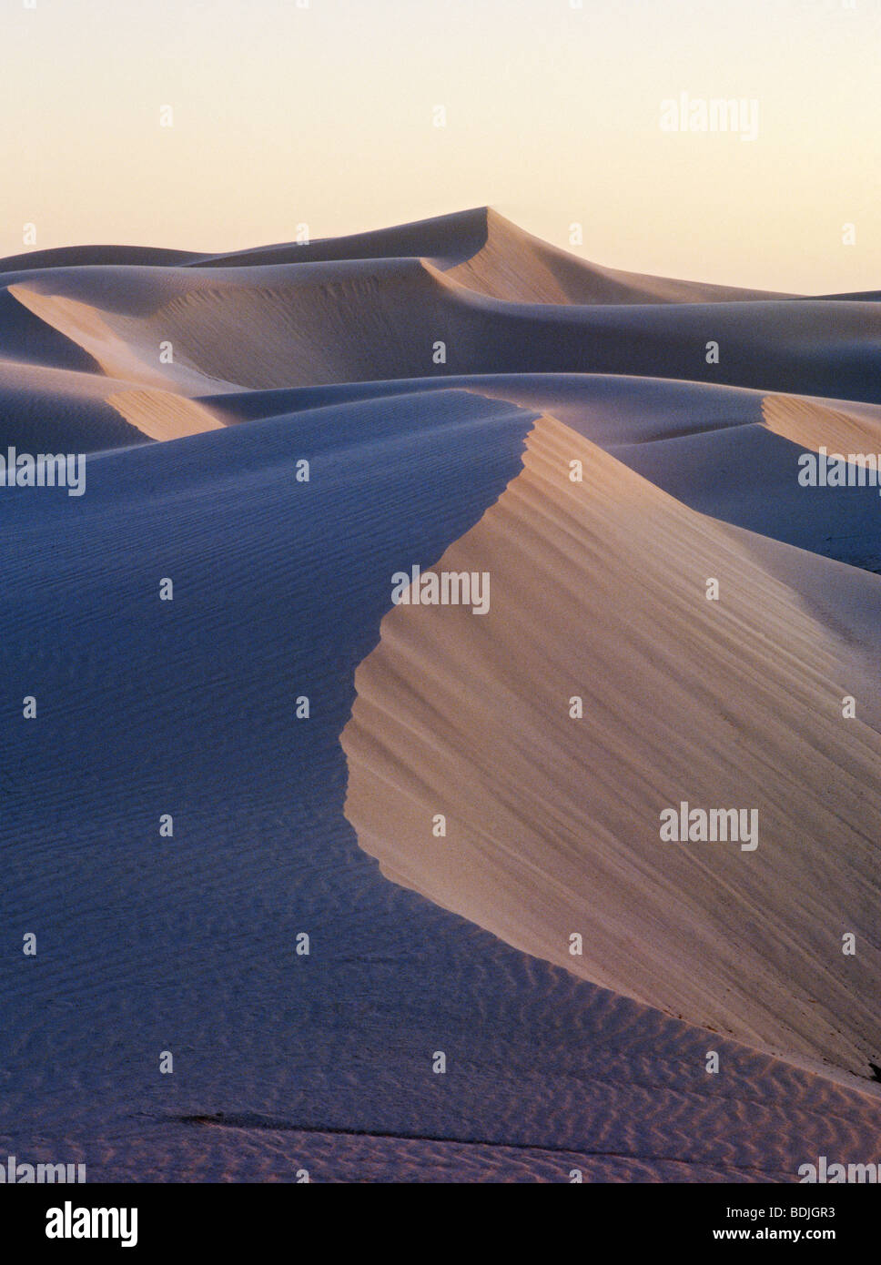 Sanddünen Stockfoto