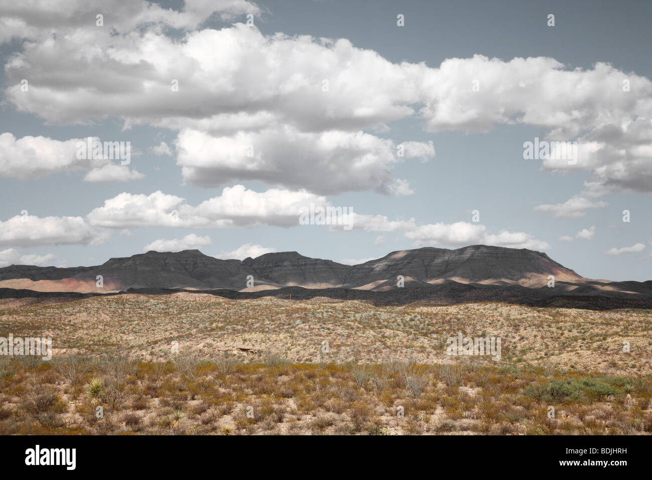 West Texas, Texas, USA Stockfoto