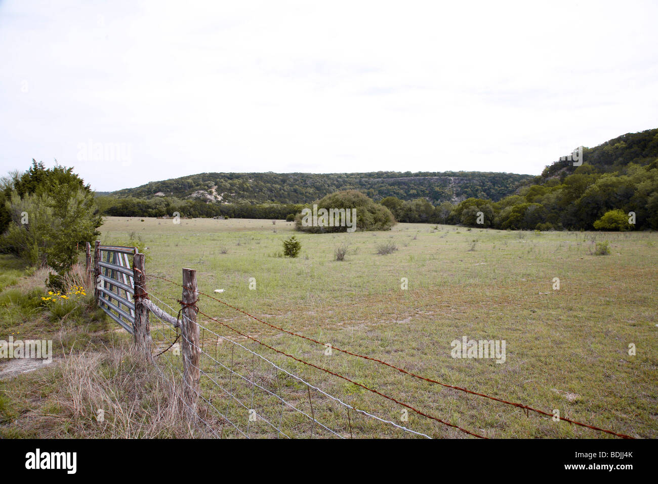 Stacheldrahtzaun im Feld Stockfoto