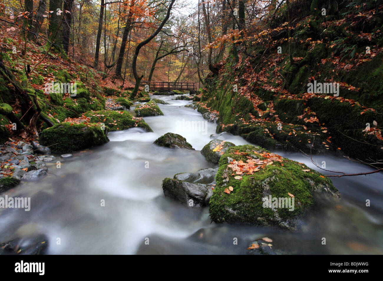 "Stockghyll Force" Wasserfall oberhalb von Ambleside, Nationalpark Lake District, Cumbria im Herbst. Stockfoto