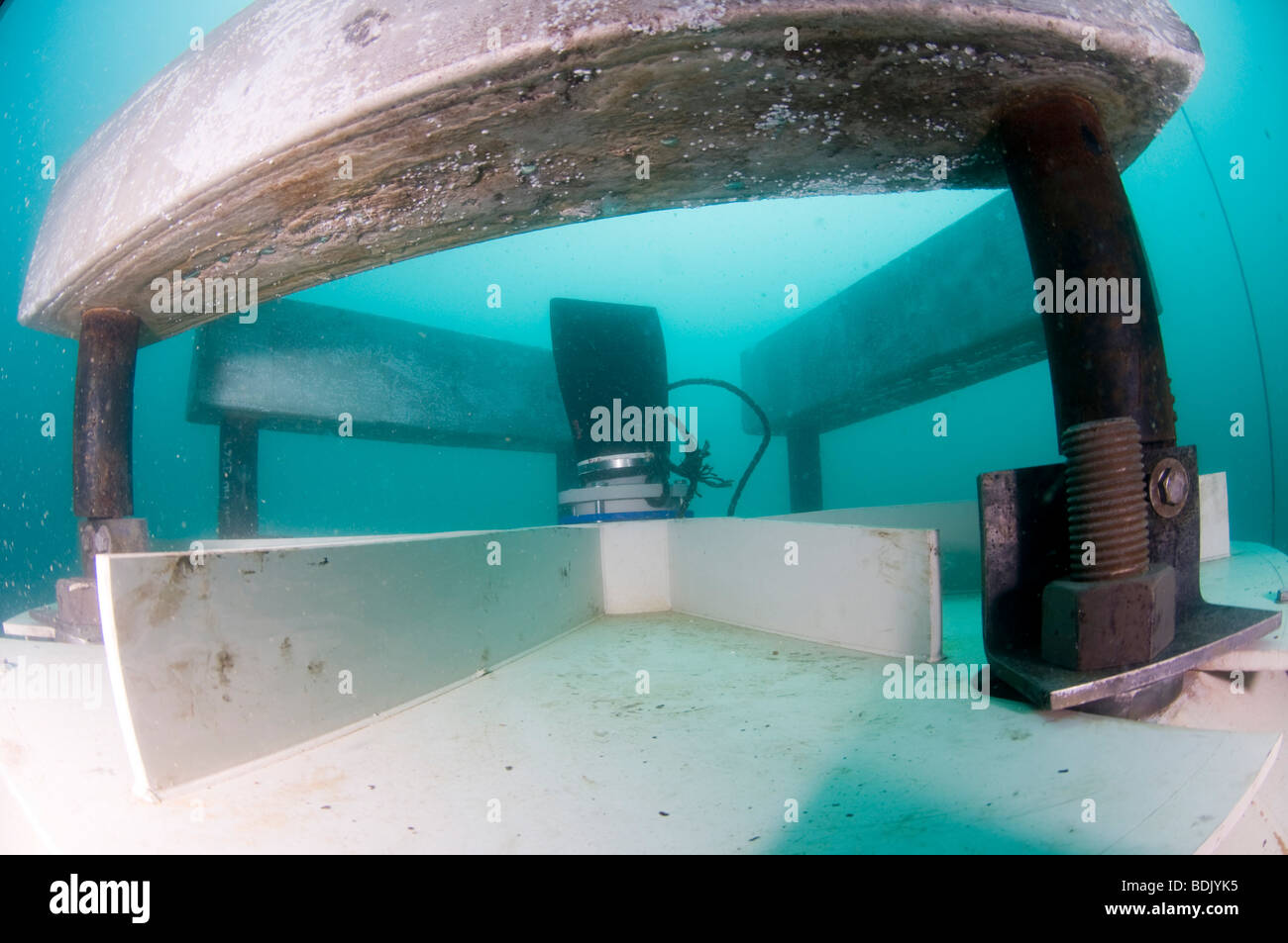 Israel, Hadera, Unterwasser-Fotografie von Offshore-Saugkopf für die Entsalzungsanlage. Zink-Block, Korrosion zu reduzieren Stockfoto