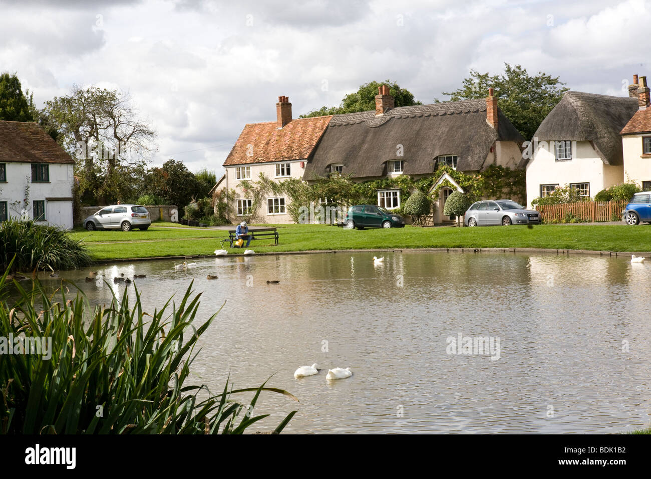Teich mit Enten in einem englischen Dorf Stockfoto