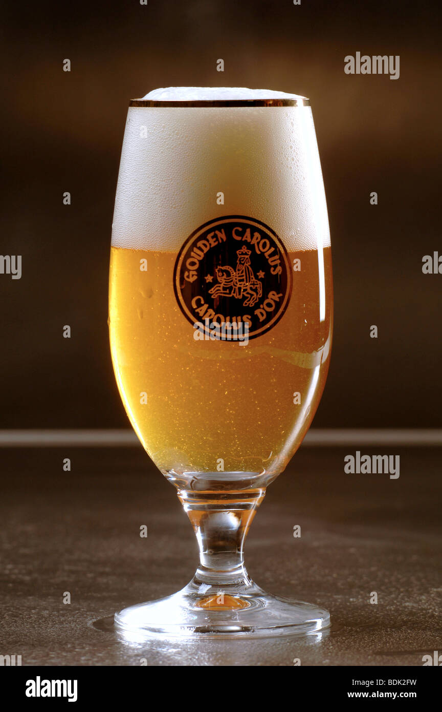 Glas der Gouden Carolus belgisches Bier. Stockfoto