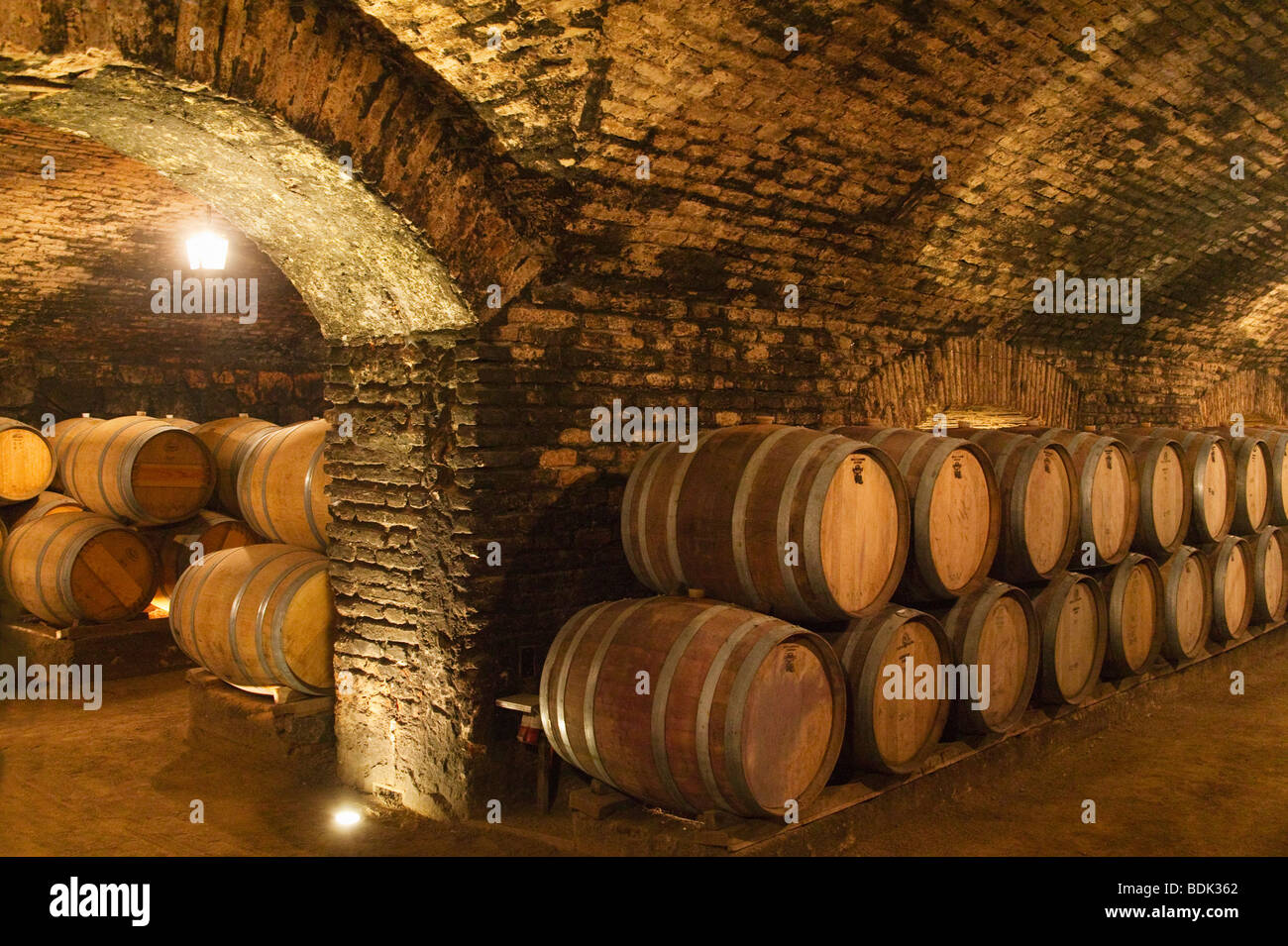 Fässer im Keller in Conchay Toro Winery, Santiago, Chile Stockfoto