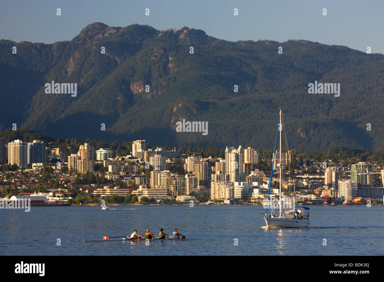 Ruderer am Coal Harbour, Blickrichtung Nord Vancouver von der Innenstadt von Vancouver, British Columbia, Kanada. Stockfoto