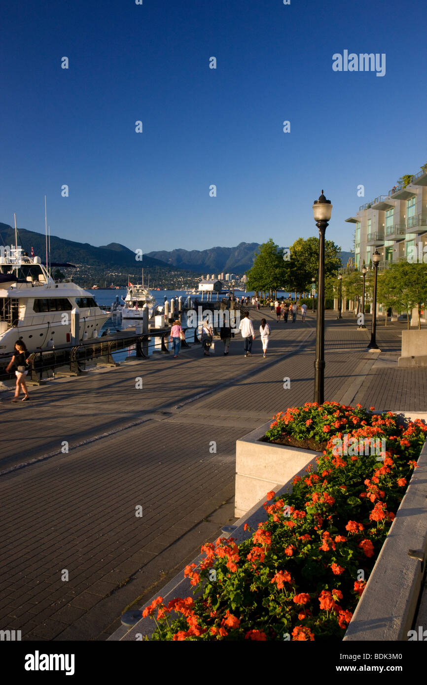 Gehweg entlang der Uferpromenade, Vancouver, Britisch-Kolumbien, Kanada. Stockfoto