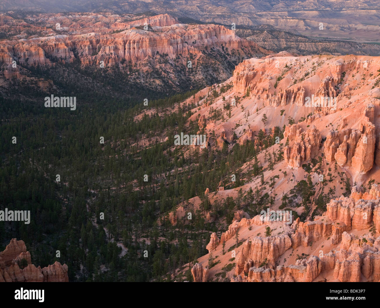 Bryce Canyon, Bryce Canyon National Park, Utah. Stockfoto