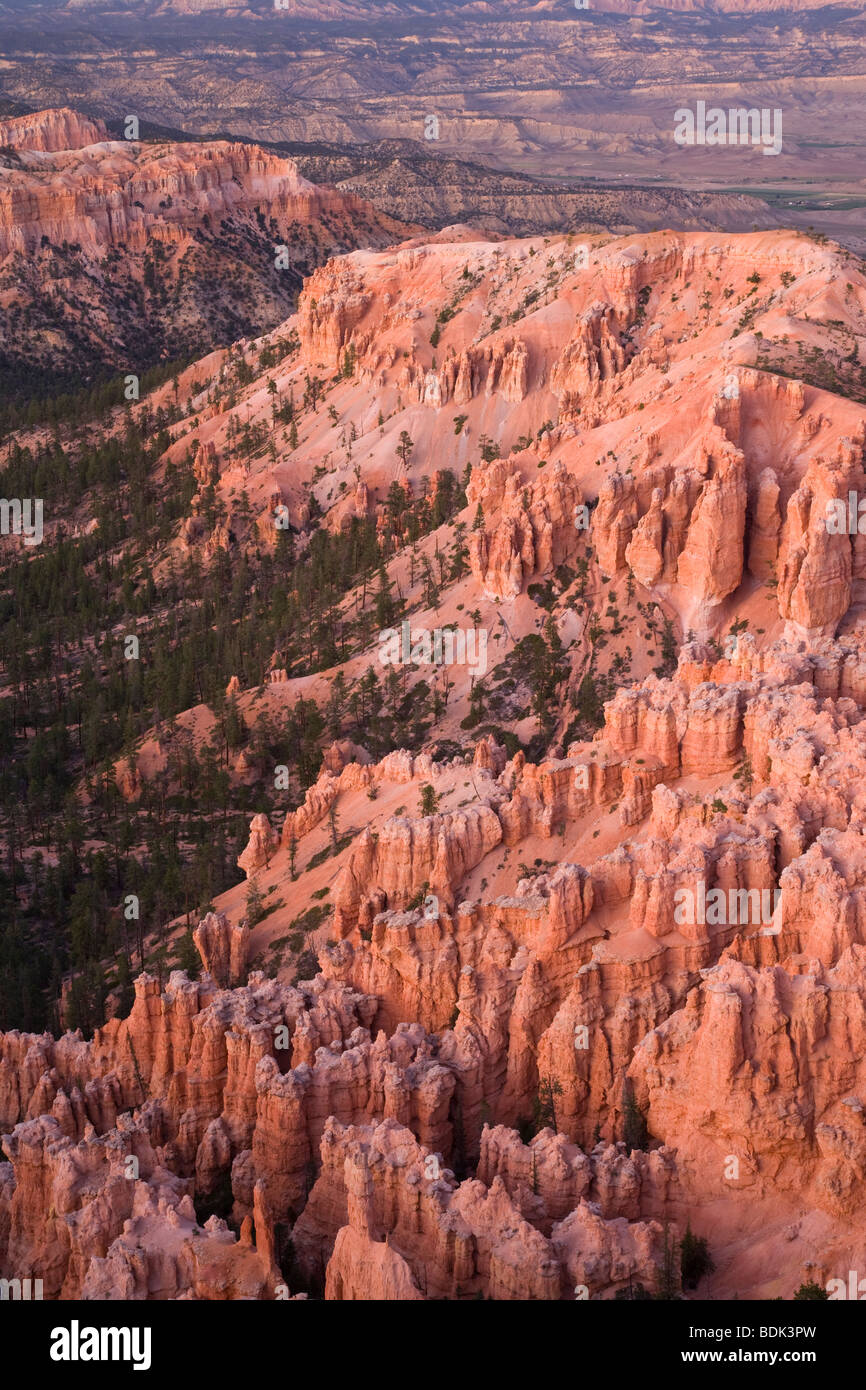 Bryce Canyon, Bryce Canyon National Park, Utah. Stockfoto