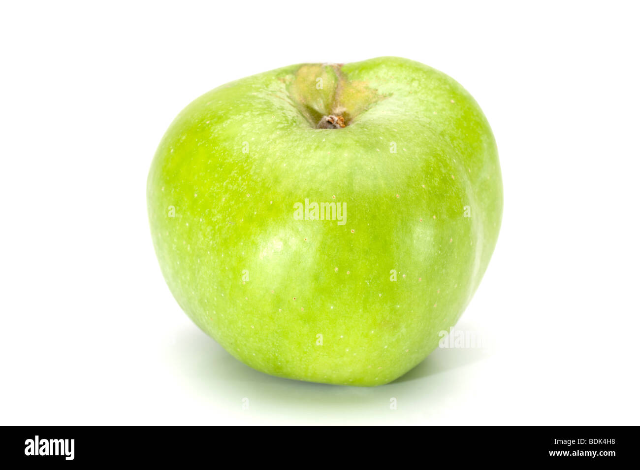 einzelne "Bramley Sämling" Apfel Stockfoto