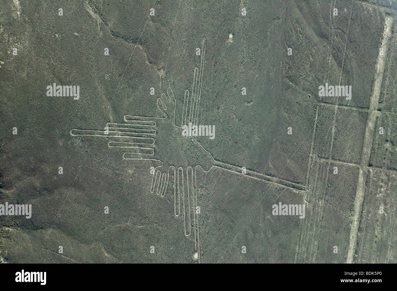 Condor-Muster in der Wüste, Linien von Nasca, Peru Stockfoto