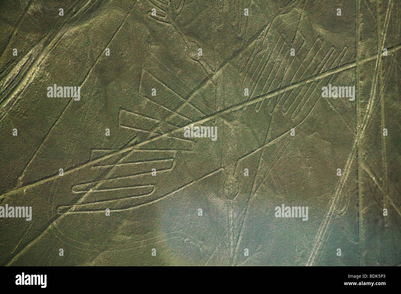 Kolibri-Muster in der Wüste, Linien von Nasca, Peru Stockfoto