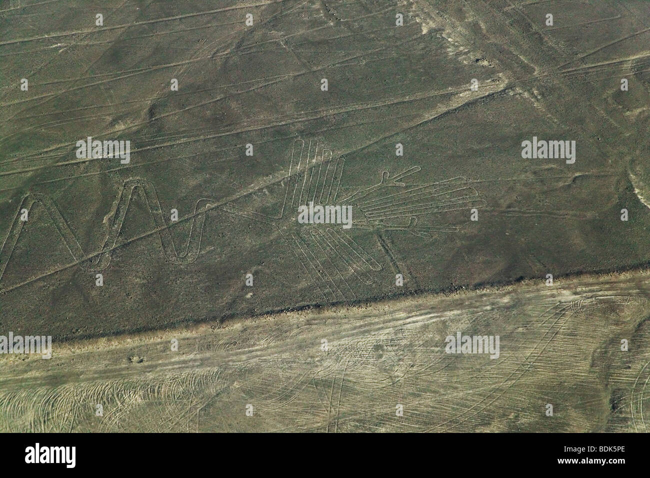 Muster von Alcatraz in der Wüste, Linien von Nasca, peru Stockfoto