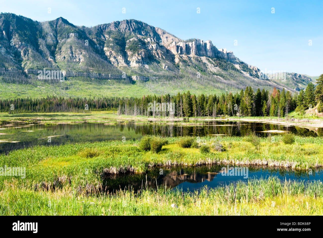 Reflexionen in einem See entlang Chief Joseph Scenic Byway in Wyoming. Stockfoto