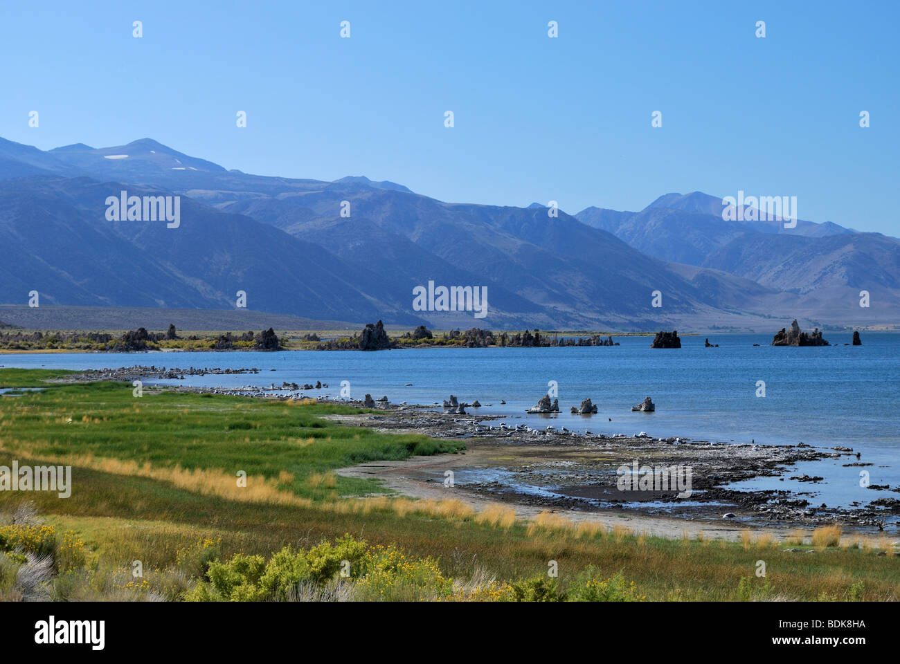 South Beach Tuffstein Formationen, vom Marine Beach, Mono Lake, die Berge der Sierra Nevada im Hintergrund Stockfoto