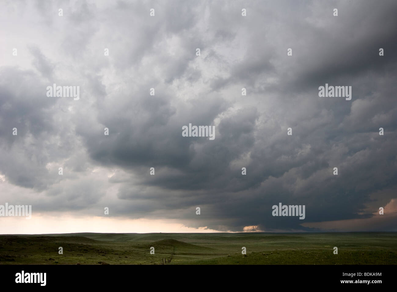 Die abgesenkten Basis und Rückleuchten Wolke von einem Sturm in Goshen County, Wyoming, 5. Juni 2009. Stockfoto