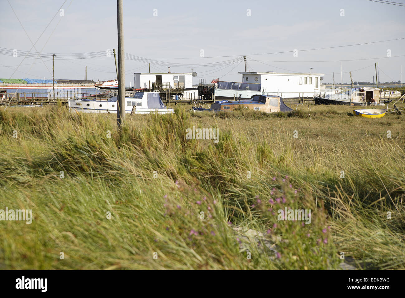 Hausboote in langen Gräsern Küstenlinie Mersea island uk Stockfoto