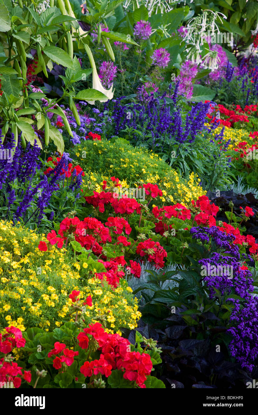 Blühende Gärten entlang der Innenhafen, Innenstadt von Victoria, Vancouver Island, British Columbia, Kanada Stockfoto