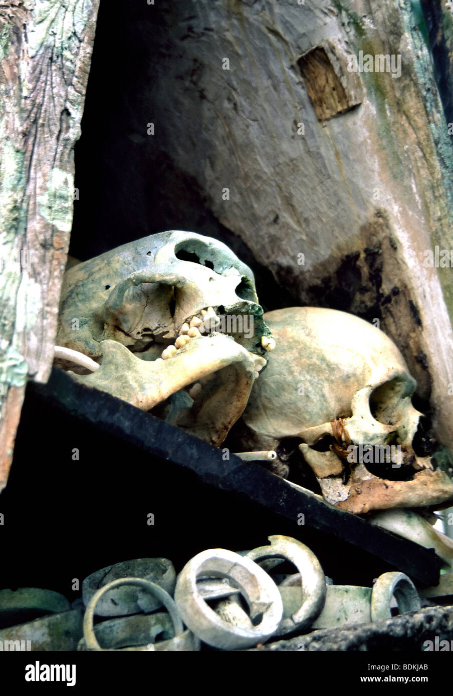 Ein Bild für Skull Island in der Roviana Lagune der Salomonen aus den alten Tagen der kannibalistischen Stockfoto
