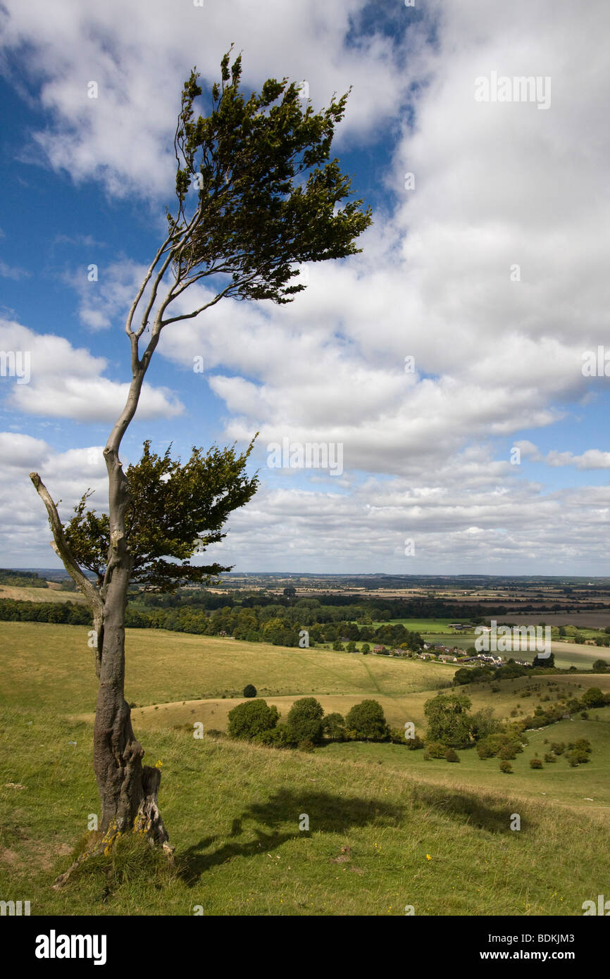 Pegsdon Hills Weiler Pegsdon in der Pfarrei Shillington in der englischen Grafschaft von Bedford England uk gb Stockfoto