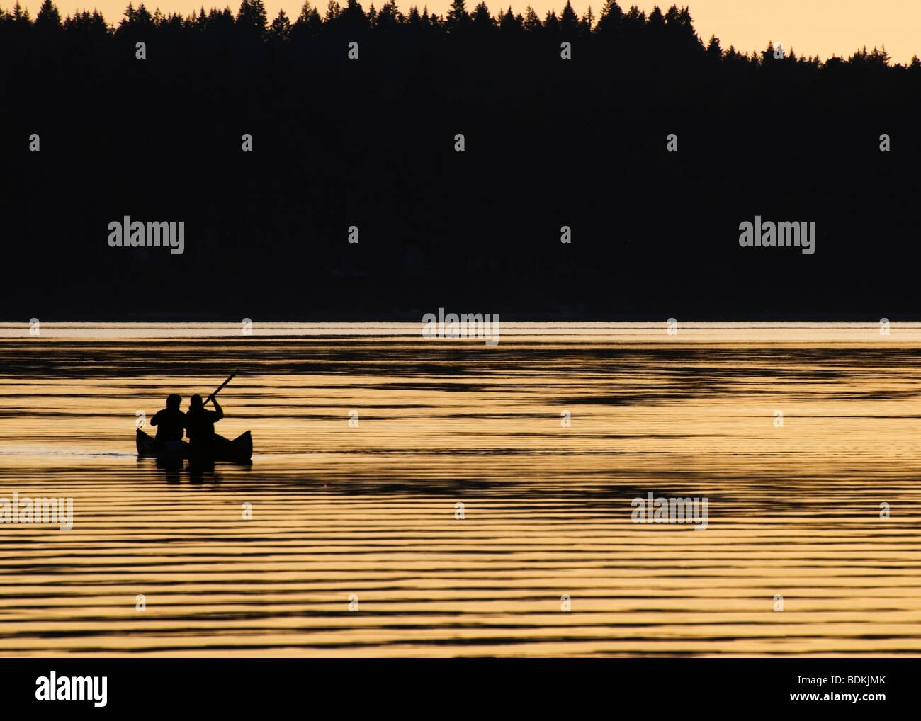 Zwei Personen in einem Kajak paddeln Sie in Puget Sound an einem goldenen Sommerabend. Stockfoto