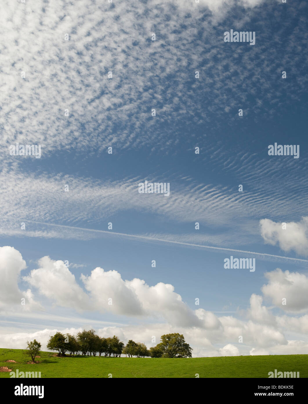 Ländliche Shropshire-Landschaft in der Nähe von Ludlow, grünen Rasen, Bäume und bewölkten blauen Sommerhimmel Stockfoto