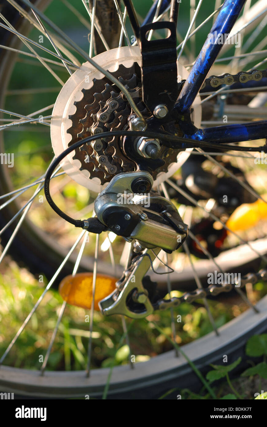 Zyklus-Rad mit Speichen, Kette und Schaltung Mechanismus, Sommer  Hintergrund unscharf Stockfotografie - Alamy