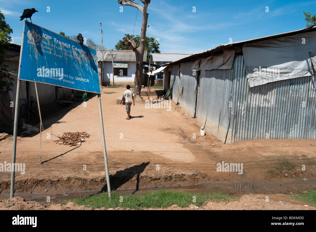 IDP intern vertriebenen Menschen Neuansiedlung Camp Sri Lanka Stockfoto