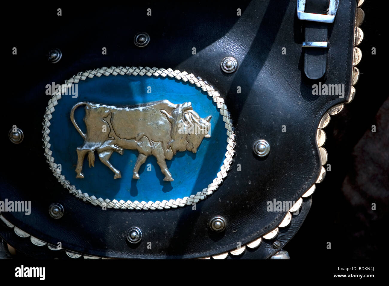 Traditionellen Zugpferd Gurtzeug mit ornamentalem Schmuck, typischerweise in Brewerys, Leder mit Silber Stier Stockfoto