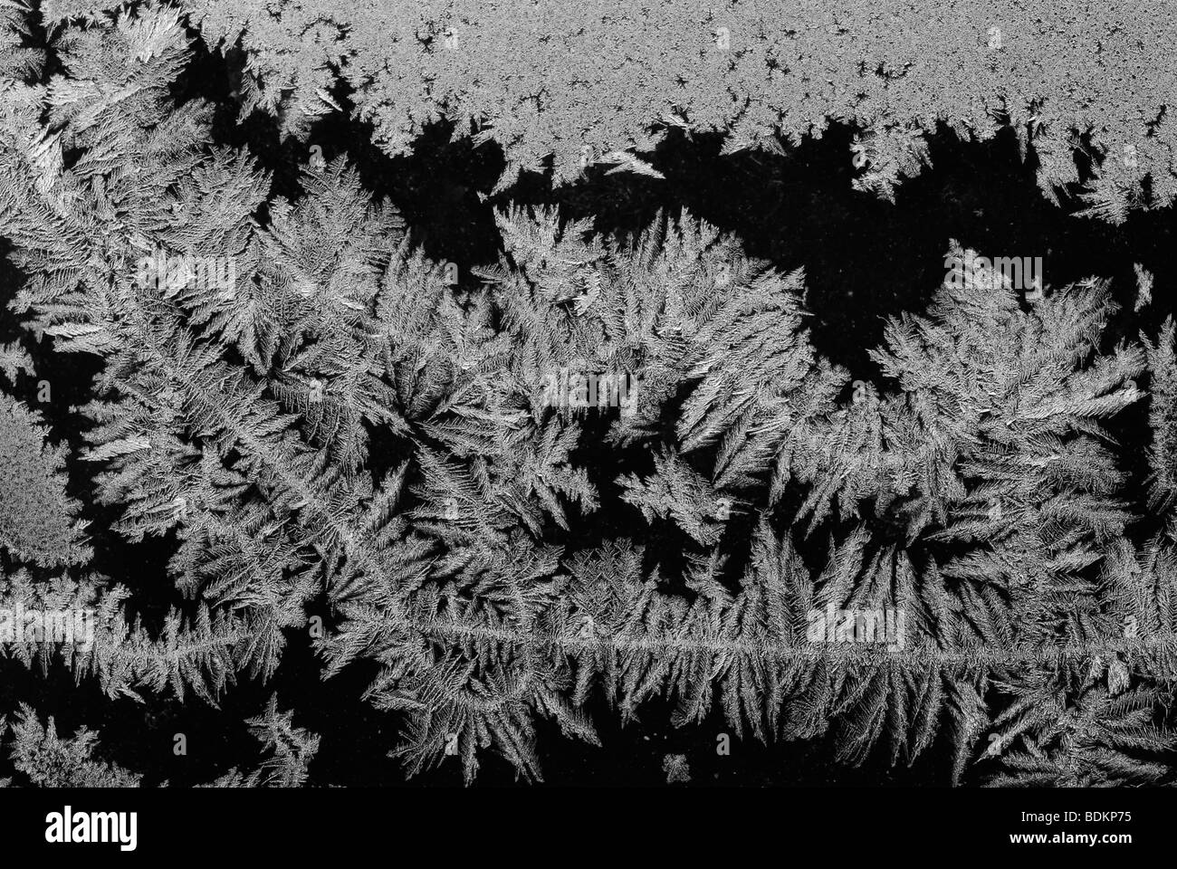 Frost-Kristalle auf einer Fensterscheibe Stockfoto