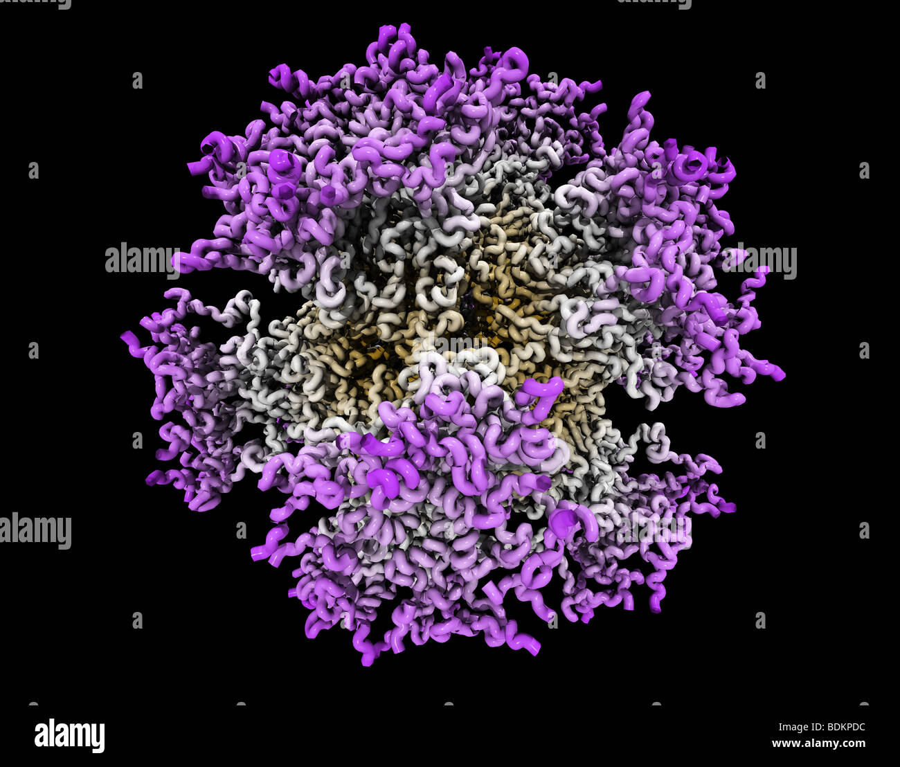 Struktur des dodekaedrischen Penton Teilchens aus menschlichen Adenovirus Typ 3, abgeleitet von Protein-Datenbank-Eintrag 2C9F Stockfoto