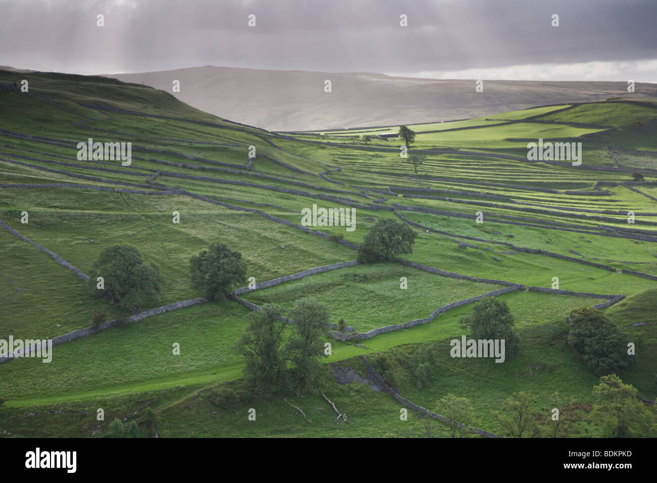 Strahlen des Lichts durch bedrohlich aussehende Gewitterwolken über die Trockenmauer am Shorkley Hill, Malham, Yorkshire Dales Stockfoto