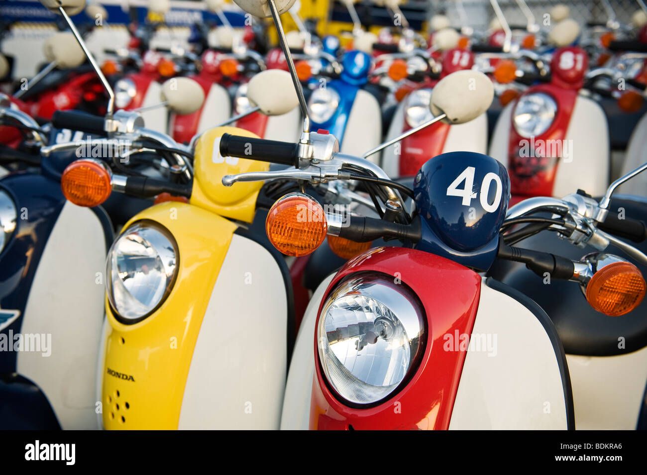 Reihen von geparkte Vermietung Scooter Stockfoto