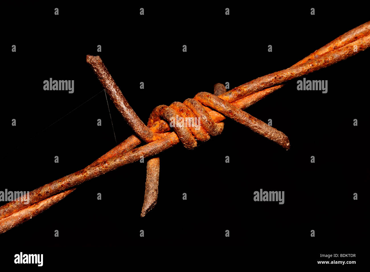 Rostiger Stacheldraht Stockfoto