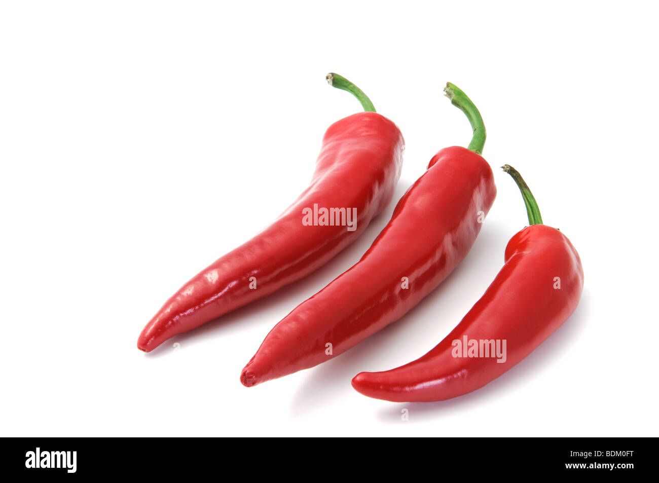 Hot Chili Pepper isoliert auf weiss Stockfoto
