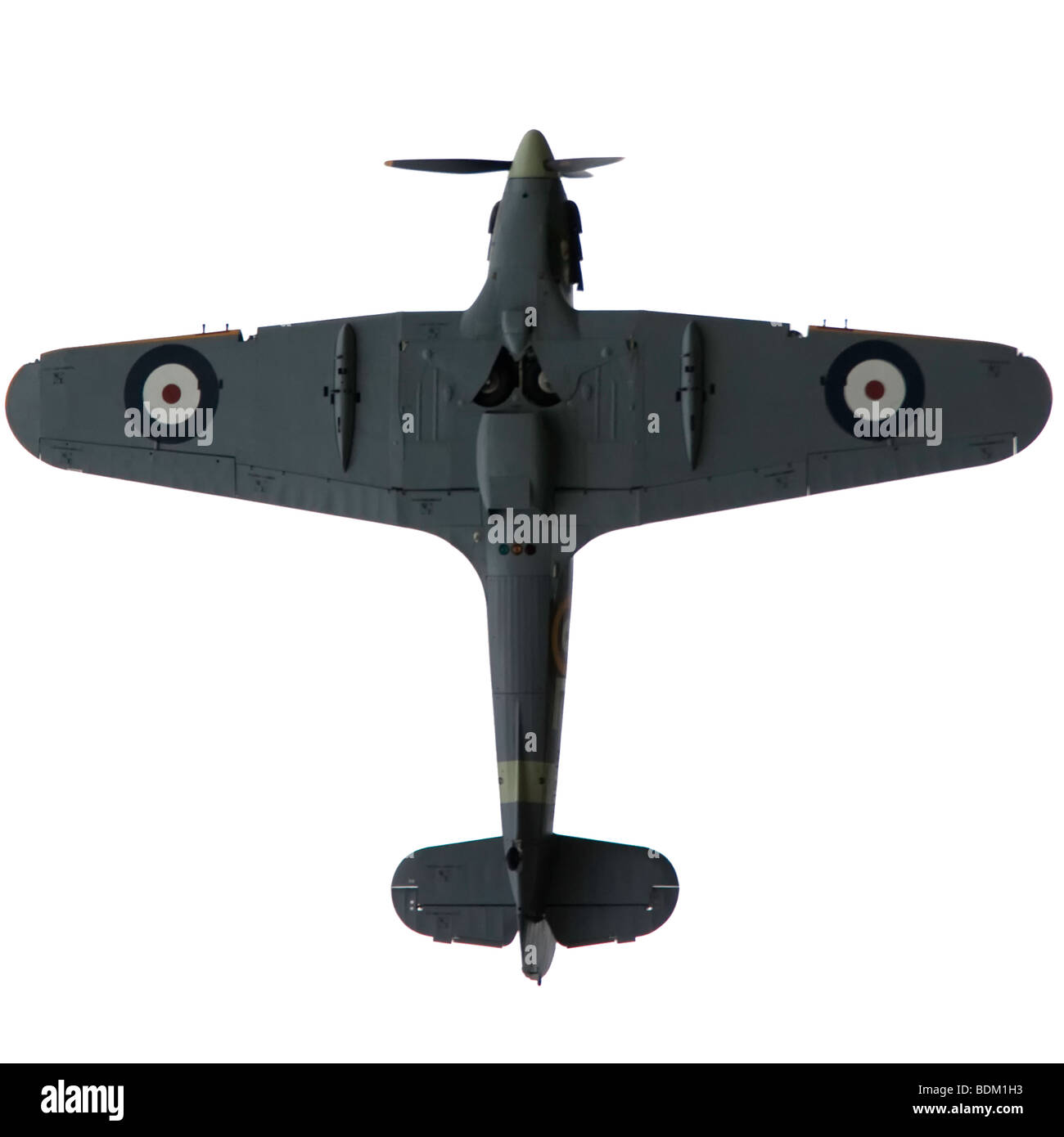 Hurrikan-Bomber-Ausschnitt Stockfoto