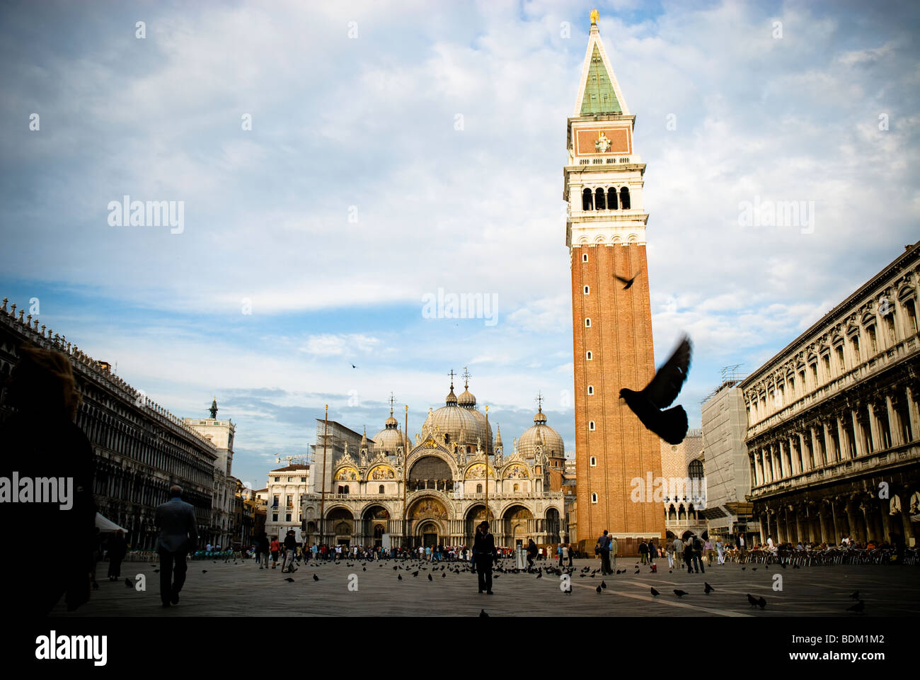 Piazza San Marco, Campanile San Marco und Basilika San Marco, Venedig, Italien Stockfoto