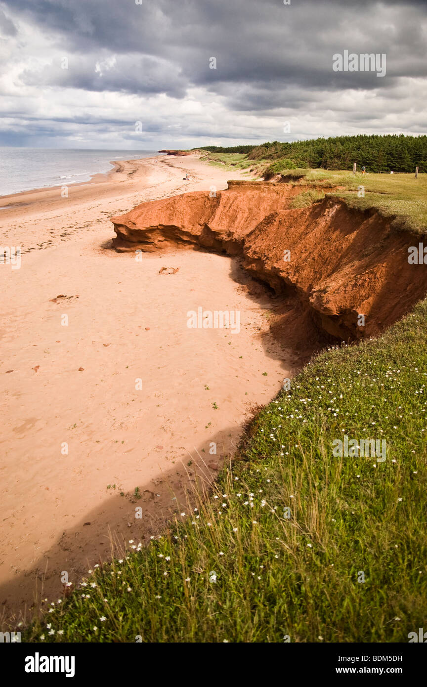 Klippen und roter Strand auf Prince Edward Island, Kanada, die Einstellung für die Lucy Maud Montgomery Anne of Green Gables Serie. Stockfoto