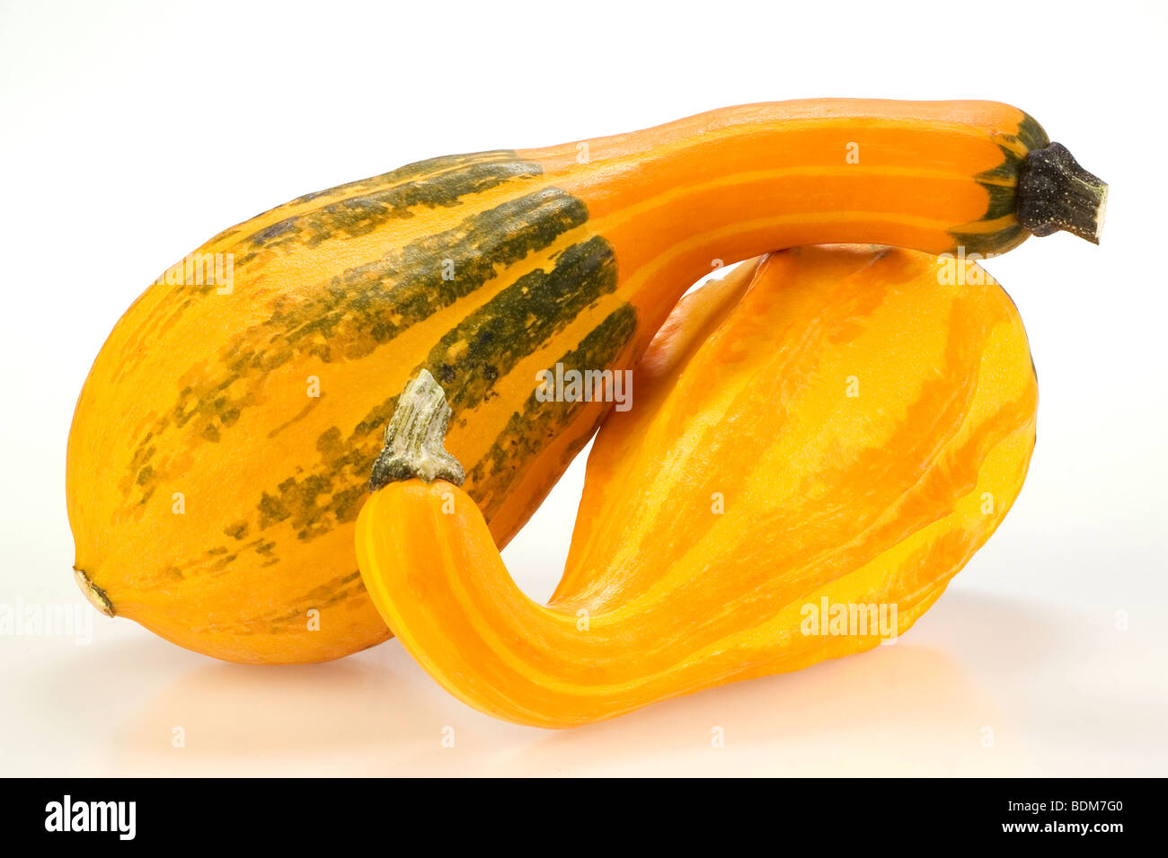 Squash-paar Stockfoto