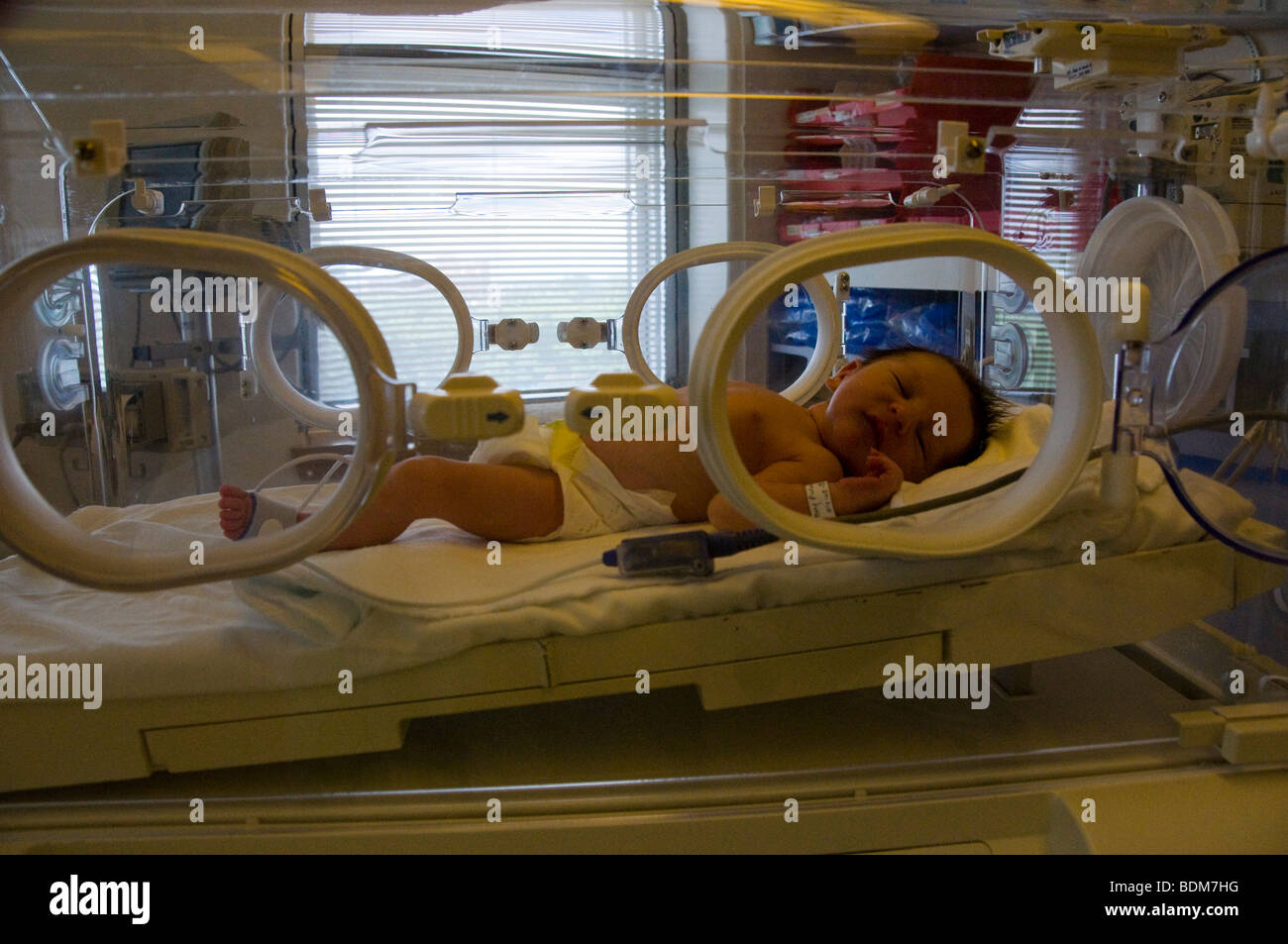 Neugeborenes in einem Inkubator Stockfoto