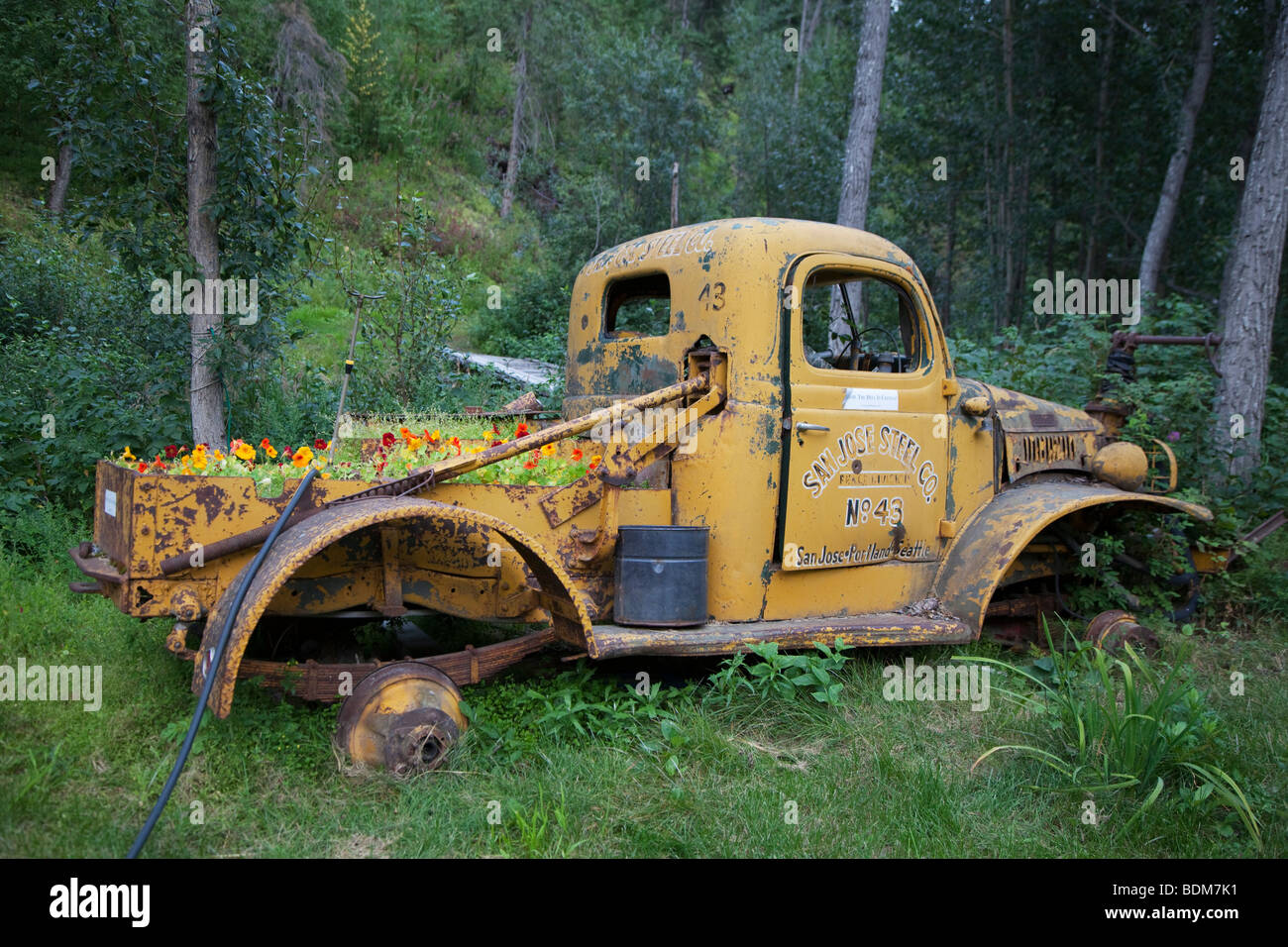 Chitina, Alaska - einem alten Lastwagen in einen Blumengarten geworden. Stockfoto