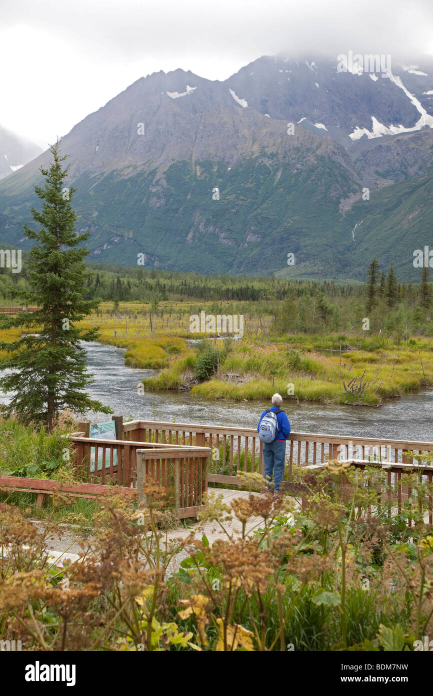 Eagle River, Alaska - ein Wanderer sieht über einen Bach, wo Lachs im Chugach State Park laichen sind. Stockfoto
