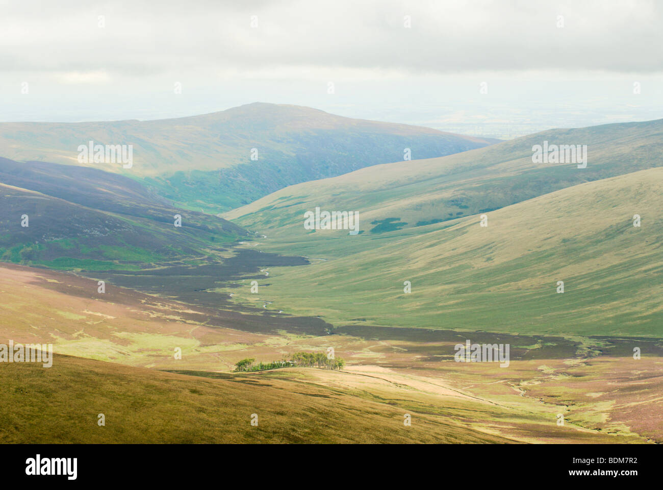 Sanften Hügeln im englischen Lake District Nationalpark Keswick Cumbria Stockfoto